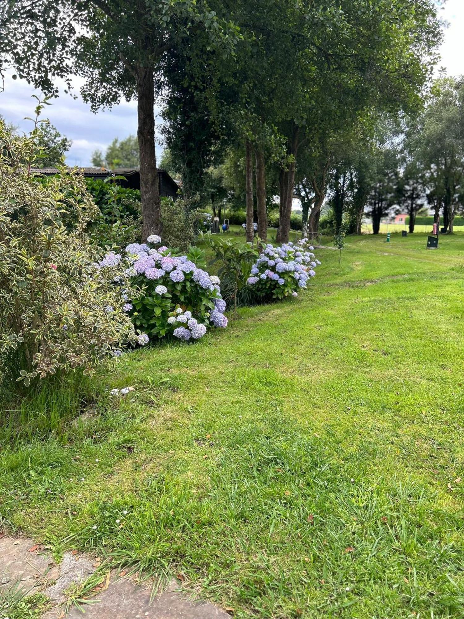 Camping A Grandella El Franco Luaran gambar